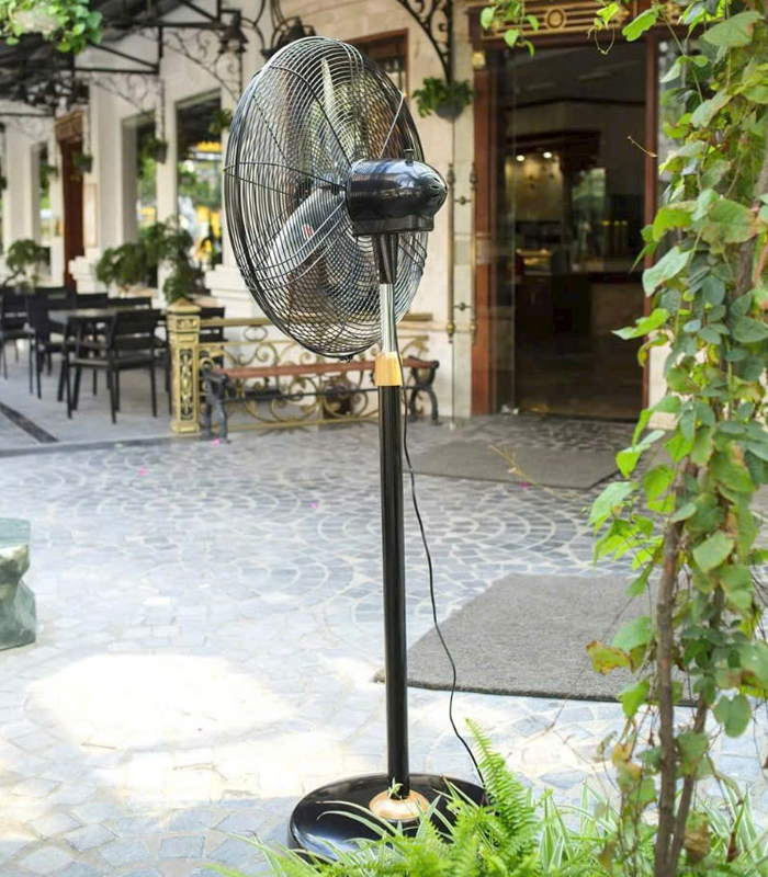 quat_dung_chinghai_no1