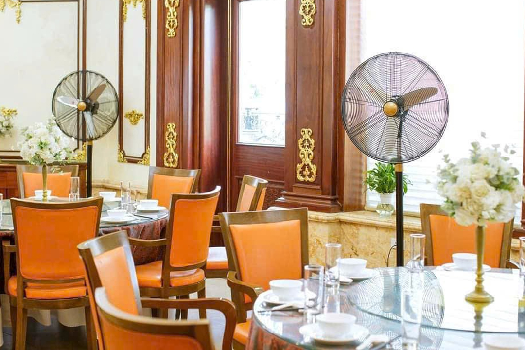 quat_dung_chinghai_no1_1