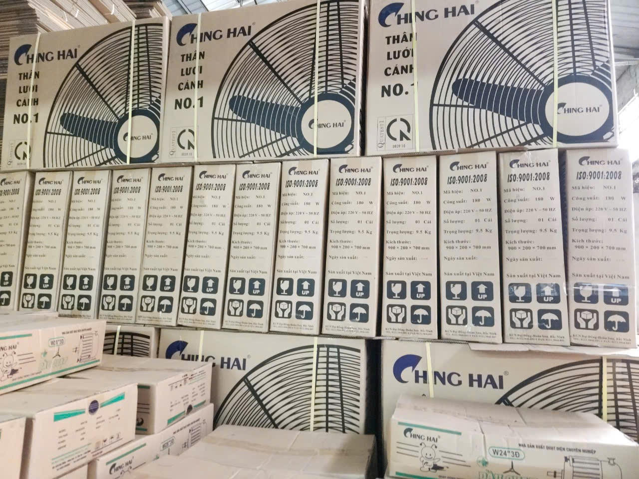 quat_dung_chinghai_no1_3