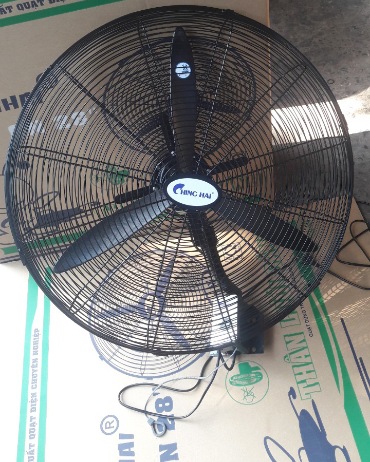 quat_treo_chinghai_ws24-dn3d